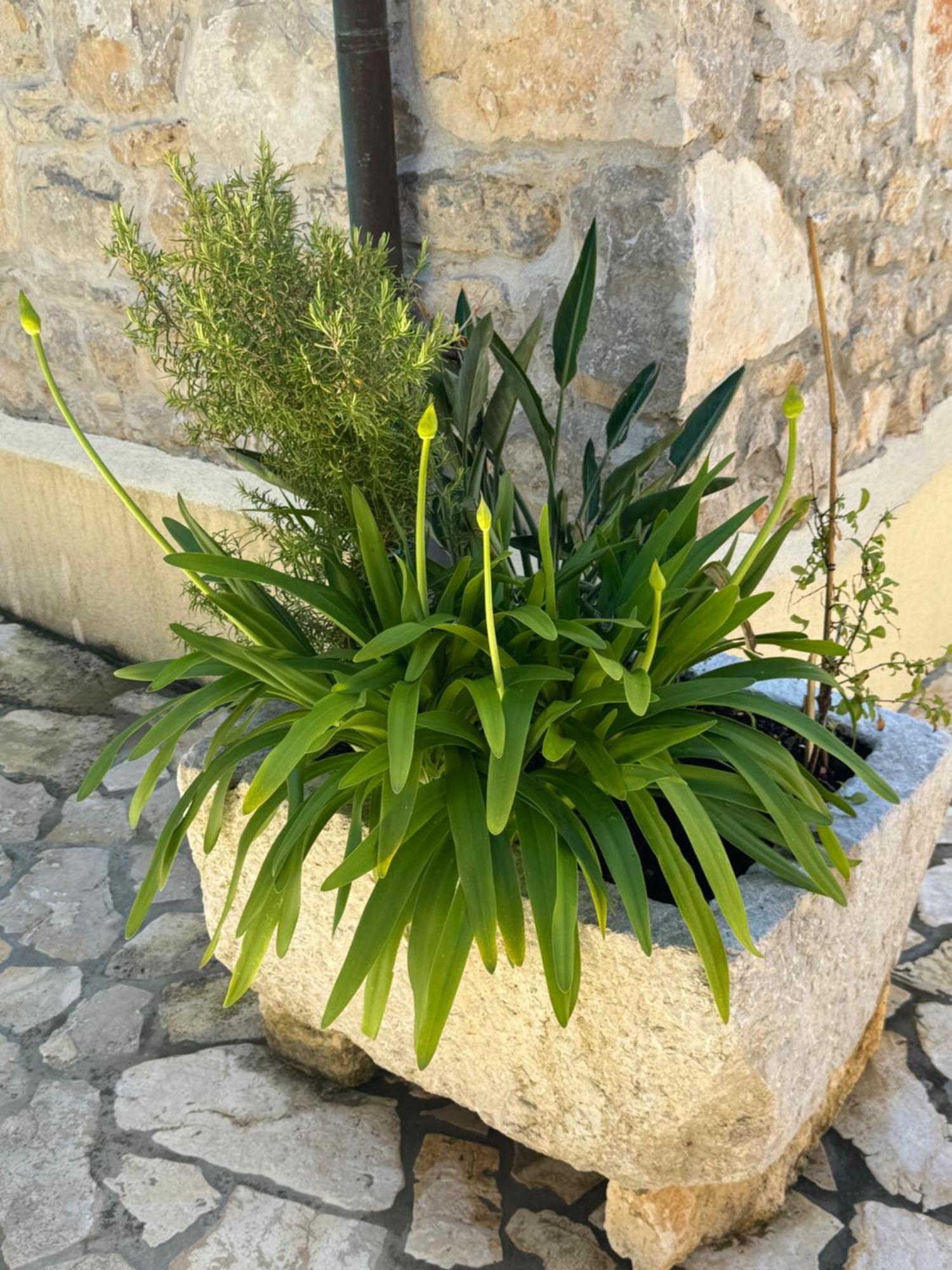 Mediterranes Ferienhaus M. Terrasse Veli Lošinj Exterior foto