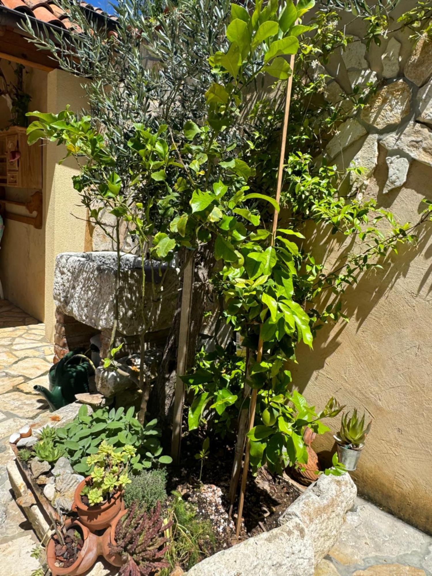 Mediterranes Ferienhaus M. Terrasse Veli Lošinj Exterior foto